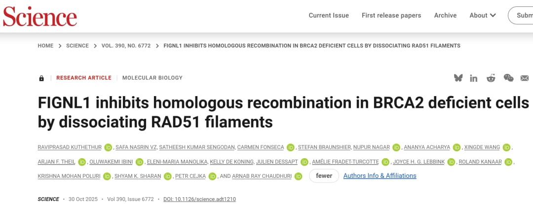 d7eb18f7b13944a193e9d3be1e3b6350-pipWaQf