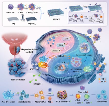 e126121862164fe78061a780f0411a03-nyKsC88