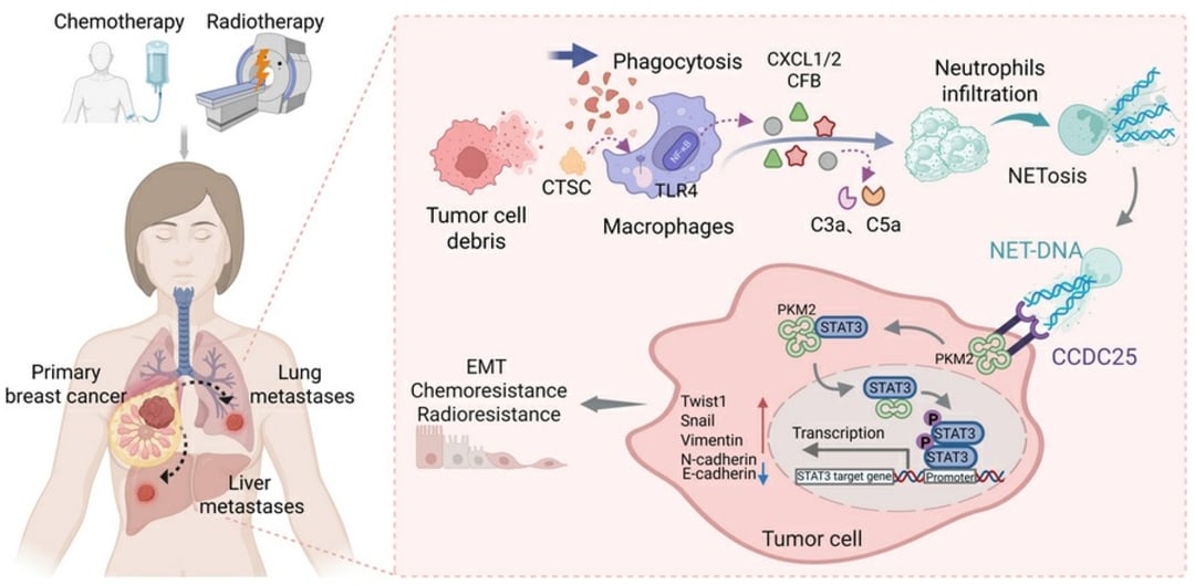 ed67f871d8e8408aa063796e69b2d63f-qj6x0in