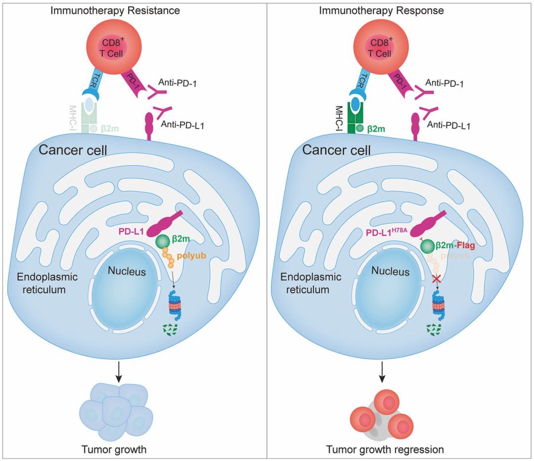 ee45fbd6998247be80fac2e101190221-R9ajUNy