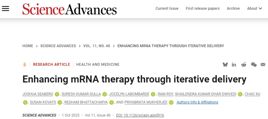 AuNSVs迭代式递送机制示意图：金纳米颗粒在细胞内发挥作用
