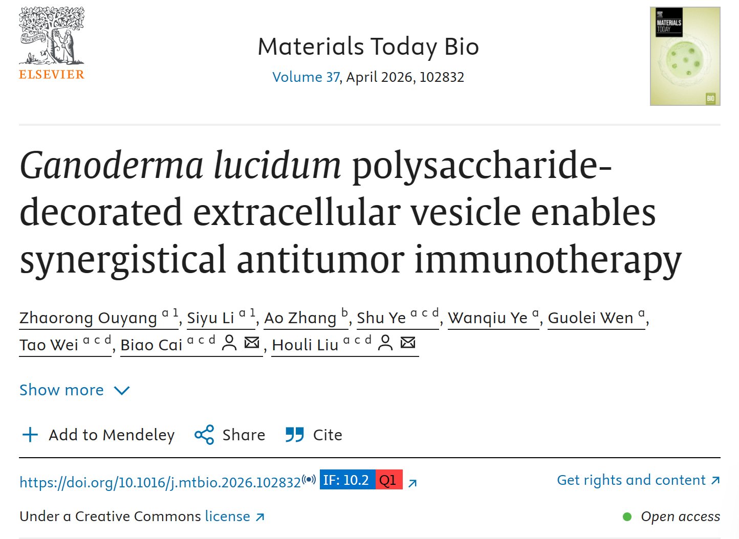 灵芝多糖修饰肿瘤细胞外囊泡治疗结直肠癌的示意图