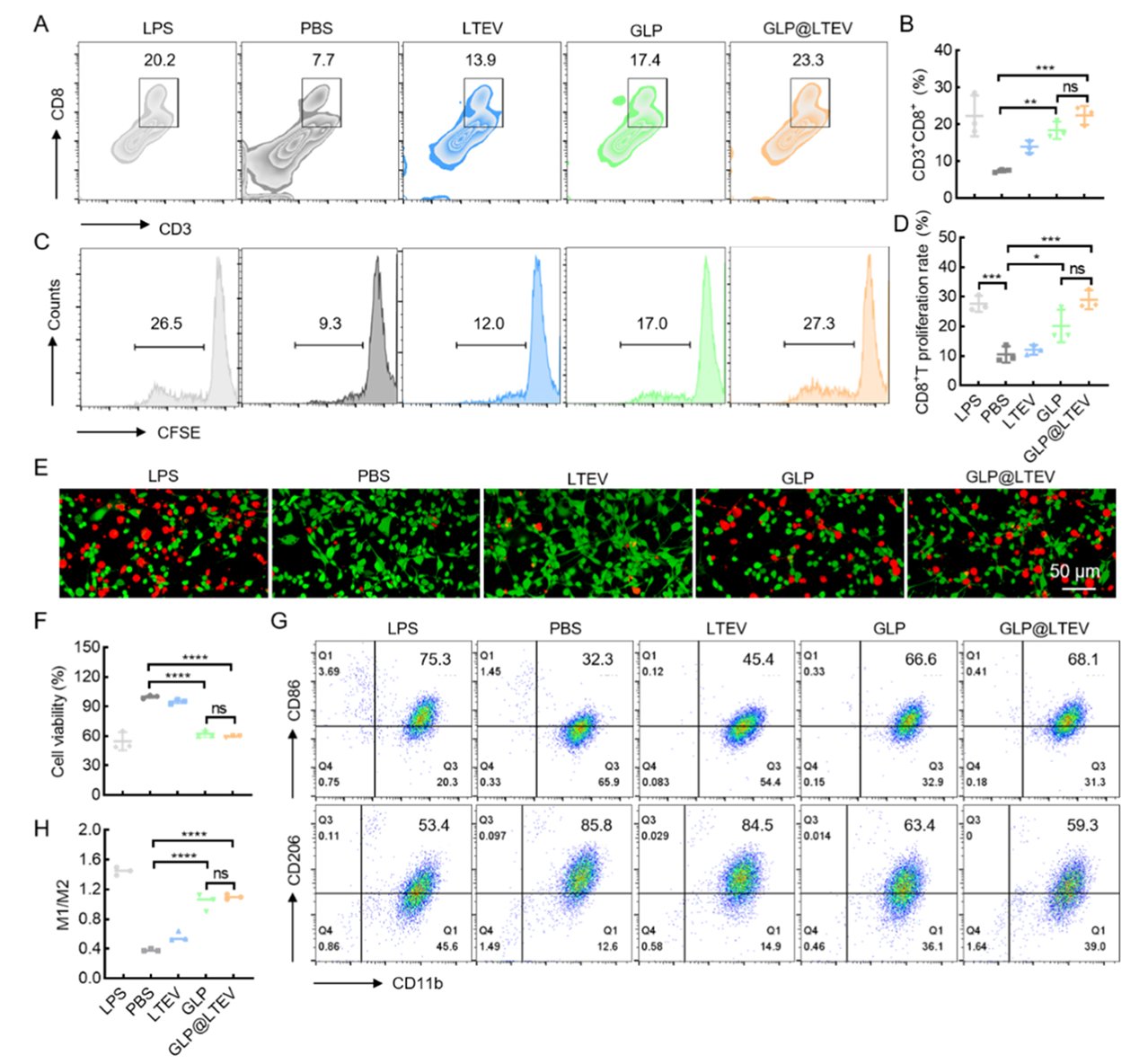 图3 肿瘤细胞外囊泡和灵芝多糖复合物在体外的T细胞活化及抗肿瘤效应图