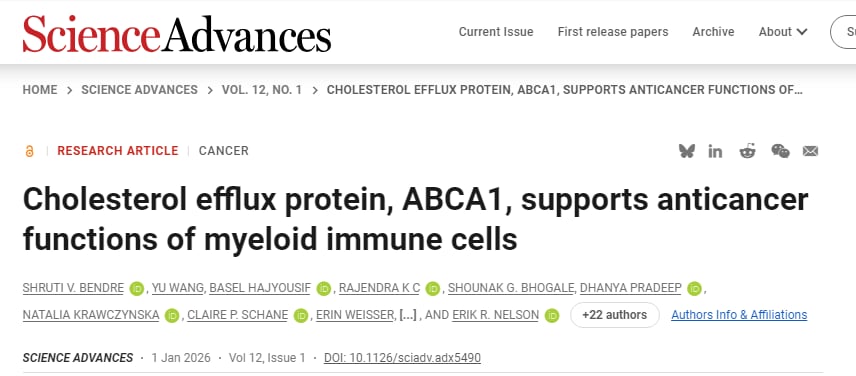 ABCA1蛋白在巨噬细胞中调控胆固醇外排，影响抗癌免疫反应的作用机制图