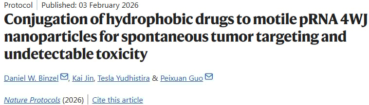 基于Nature Protocols发表的RNA纳米颗粒构建技术流程示意图