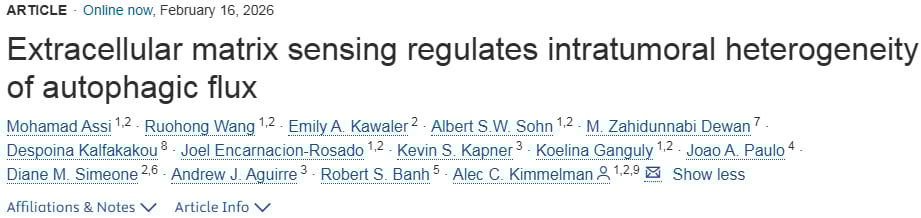 胰腺癌细胞在不同ECM密度环境中的自噬水平对比图