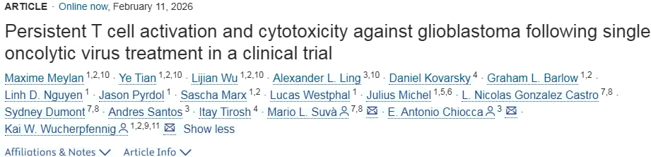 溶瘤病毒诱导T细胞浸润胶质母细胞瘤的机制示意图