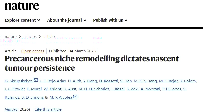 Nature研究揭示癌前微环境对早期肿瘤存活的决定性作用