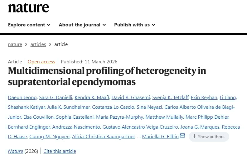 幕上室管膜瘤细胞“邻里关系图”揭示肿瘤内部社区结构