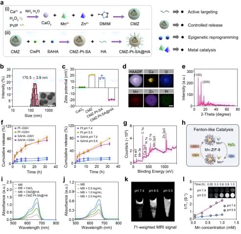 图2. CMZ-Pt-SA@HA的制备与表征。