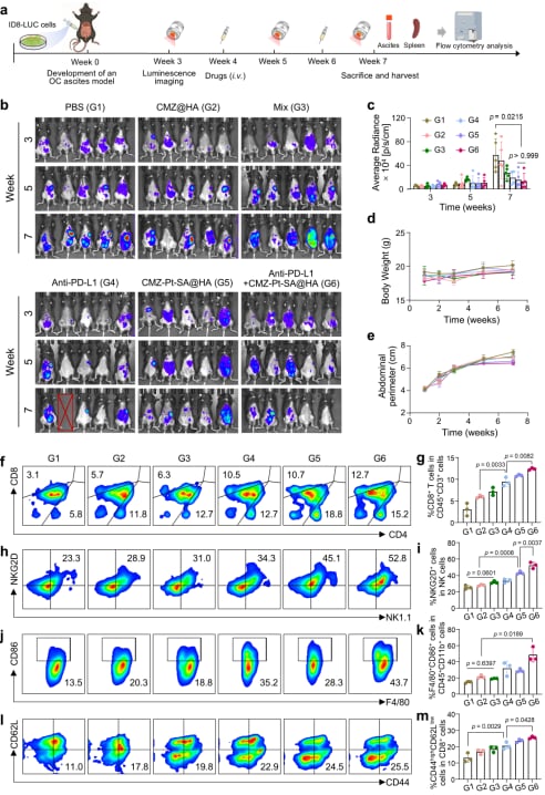 图8. CMZ-Pt-SA@HA联合PD-L1抗体治疗ID8-LUC小鼠腹膜转移模型的抗肿瘤作用。