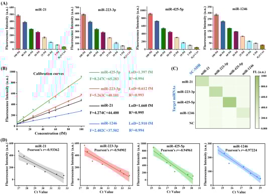 图2. SC-SDR的检测性能研究