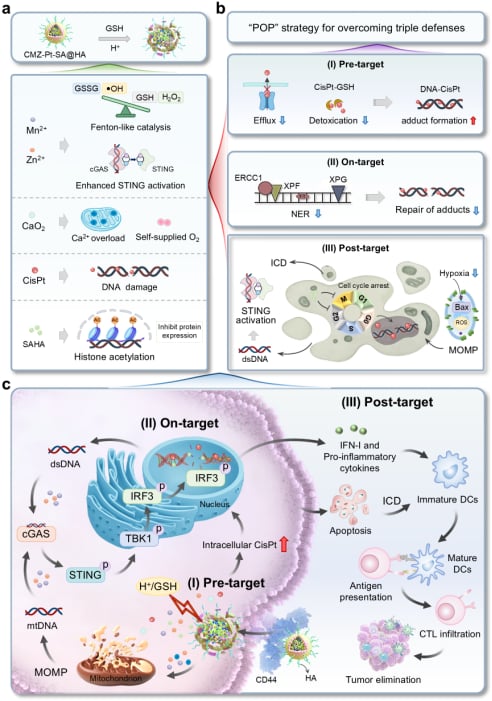 图1. 纳米激动剂（CMZ-Pt-SA@HA）通过克服三重屏障在铂耐药卵巢癌中增强化疗-金属免疫治疗的示意图。