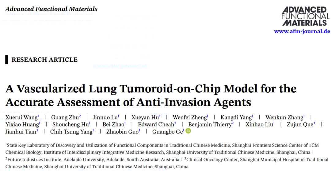 血管化肺肿瘤类器官芯片模型设计示意图