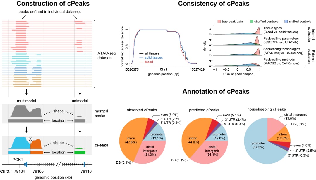 cPeak通用参考集构建流程与特性图解