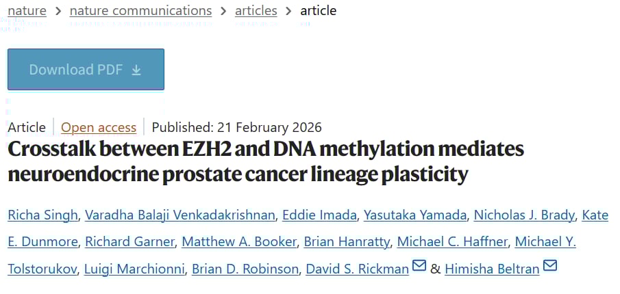 EZH2与DNA甲基化在神经内分泌前列腺癌谱系可塑性中的作用机制示意图