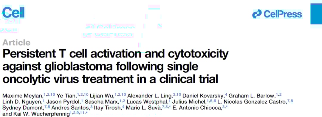 溶瘤病毒疗法治疗胶质母细胞瘤的免疫机制示意图，展示免疫细胞浸润