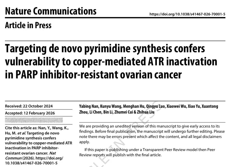 卵巢癌PARP抑制剂耐药新策略：铜离子载体Elesclomol与PARPi协同杀伤效果图