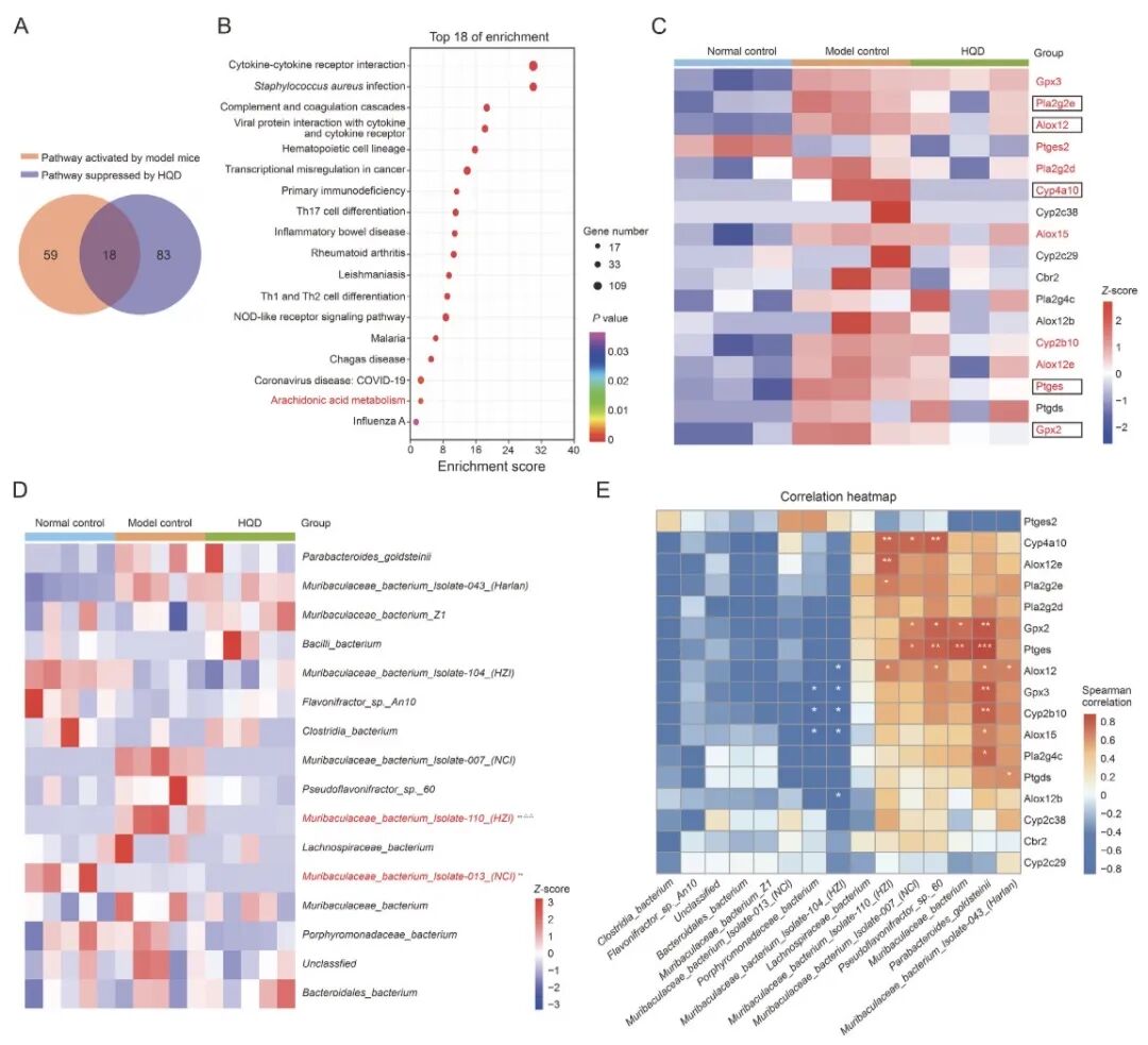 黄芩汤抑制花生四烯酸代谢通路相关基因表达及菌群相关性分析图
