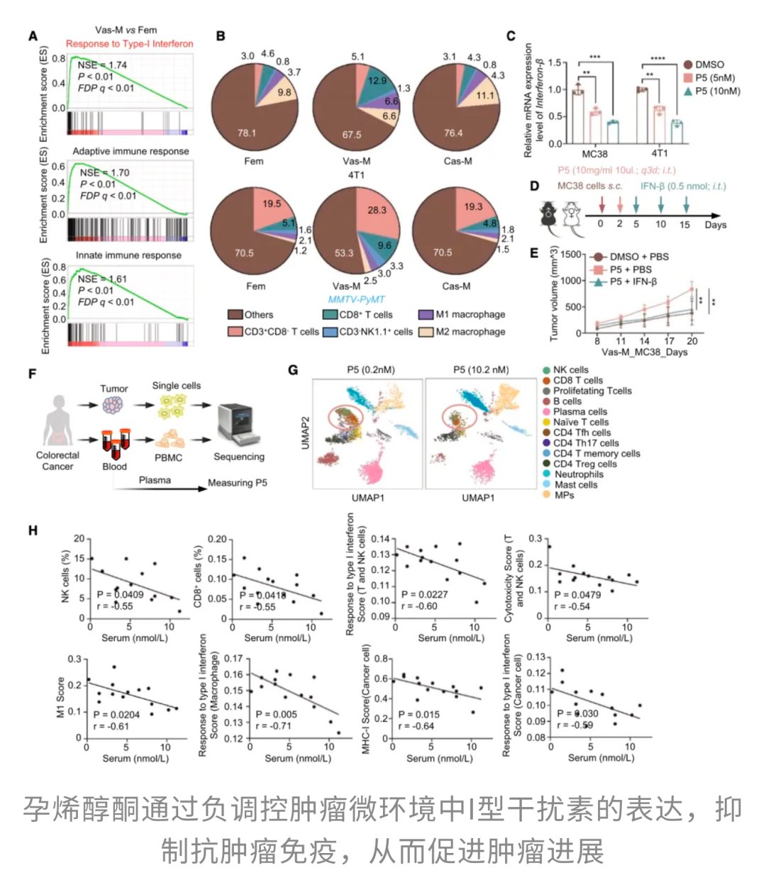 I型干扰素在免疫系统中的重要作用
