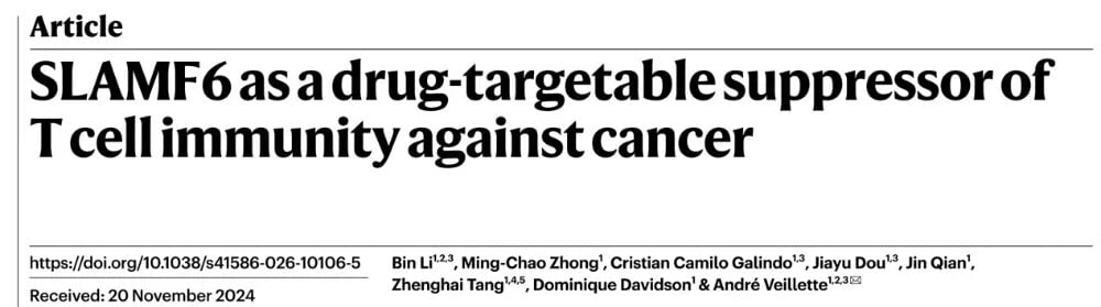 SLAMF6作为潜在抗癌免疫治疗靶点的示意图
