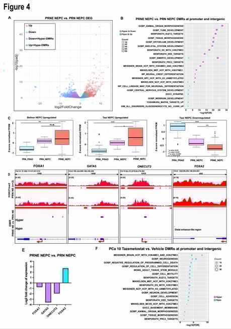 EZH2抑制后神经内分泌前列腺癌DNA甲基化与基因表达的整合分析