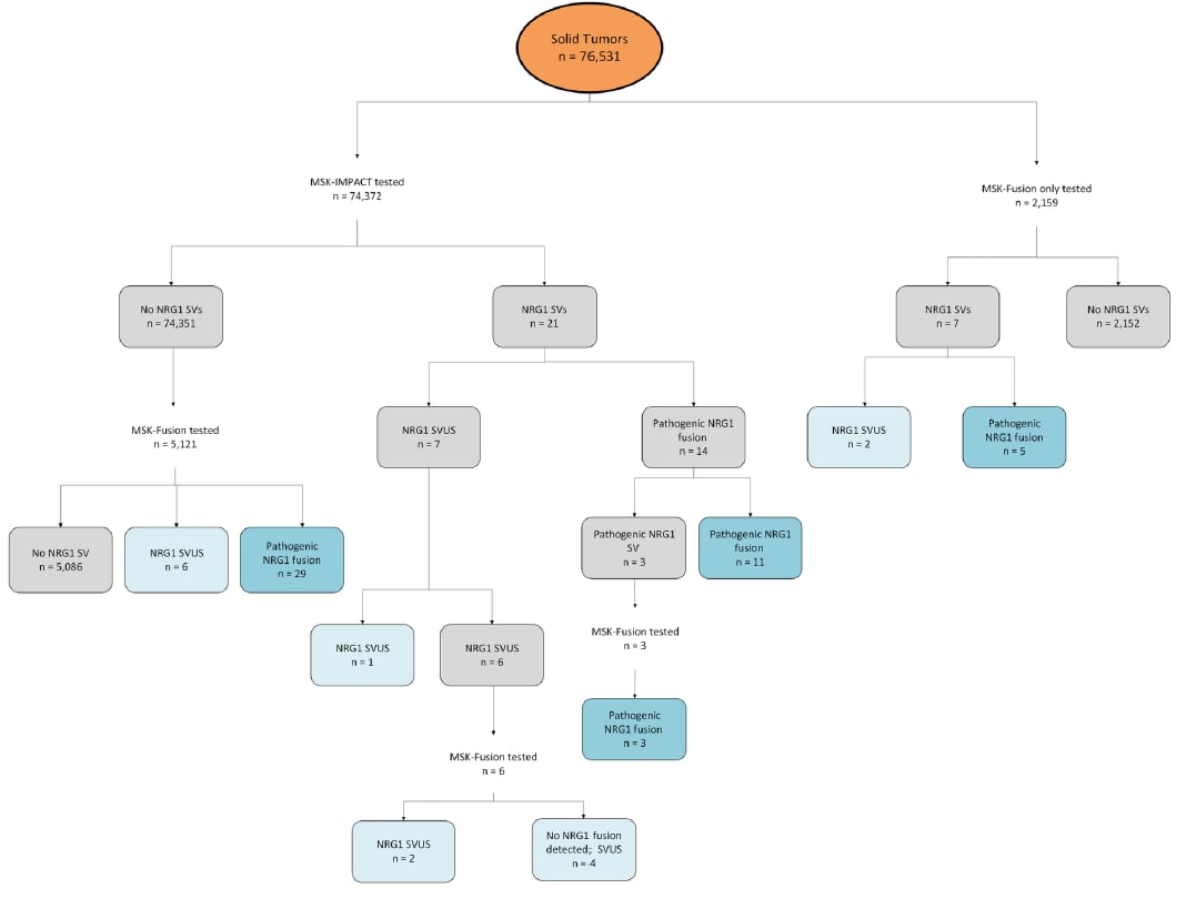NRG1融合实体瘤患者的临床病理特征与融合伴侣基因列表（第一部分）