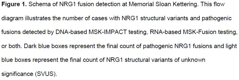 NRG1融合实体瘤患者的临床病理特征与融合伴侣基因列表（第二部分）