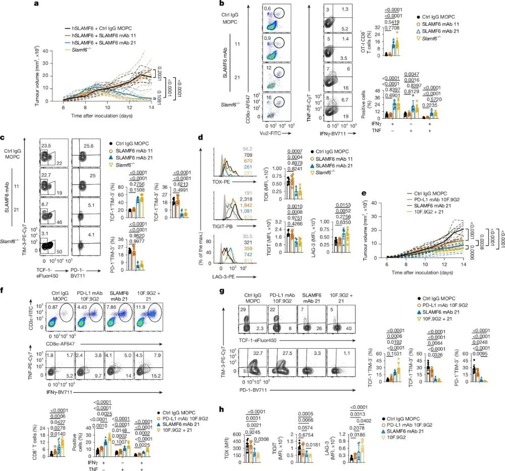 阻断SLAMF6单克隆抗体在体内抑制肿瘤生长的效果图
