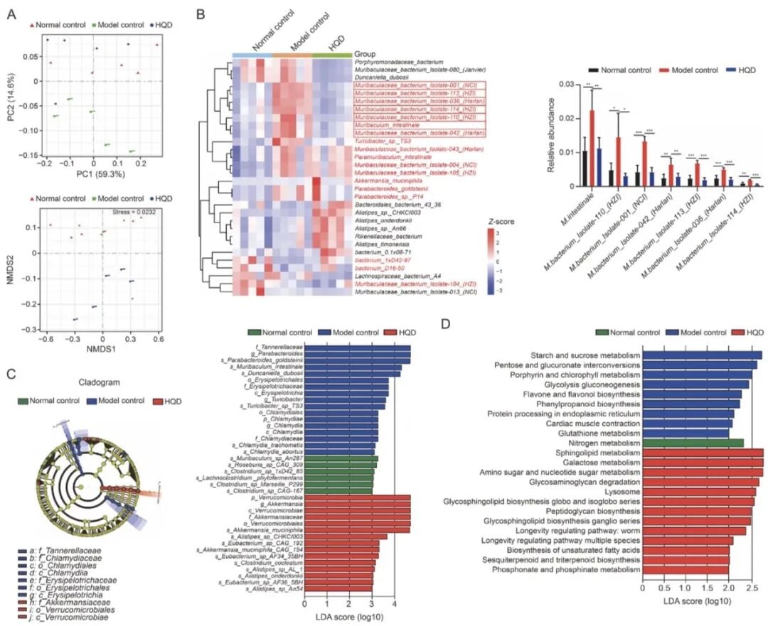 黄芩汤逆转结直肠肿瘤模型小鼠肠道菌群失调宏基因组测序分析图