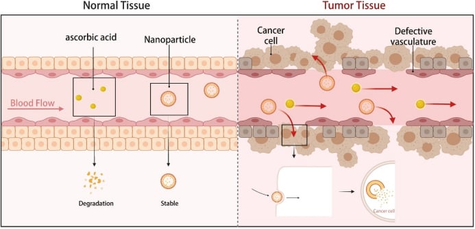 纳米维生素C递送系统优势示意图