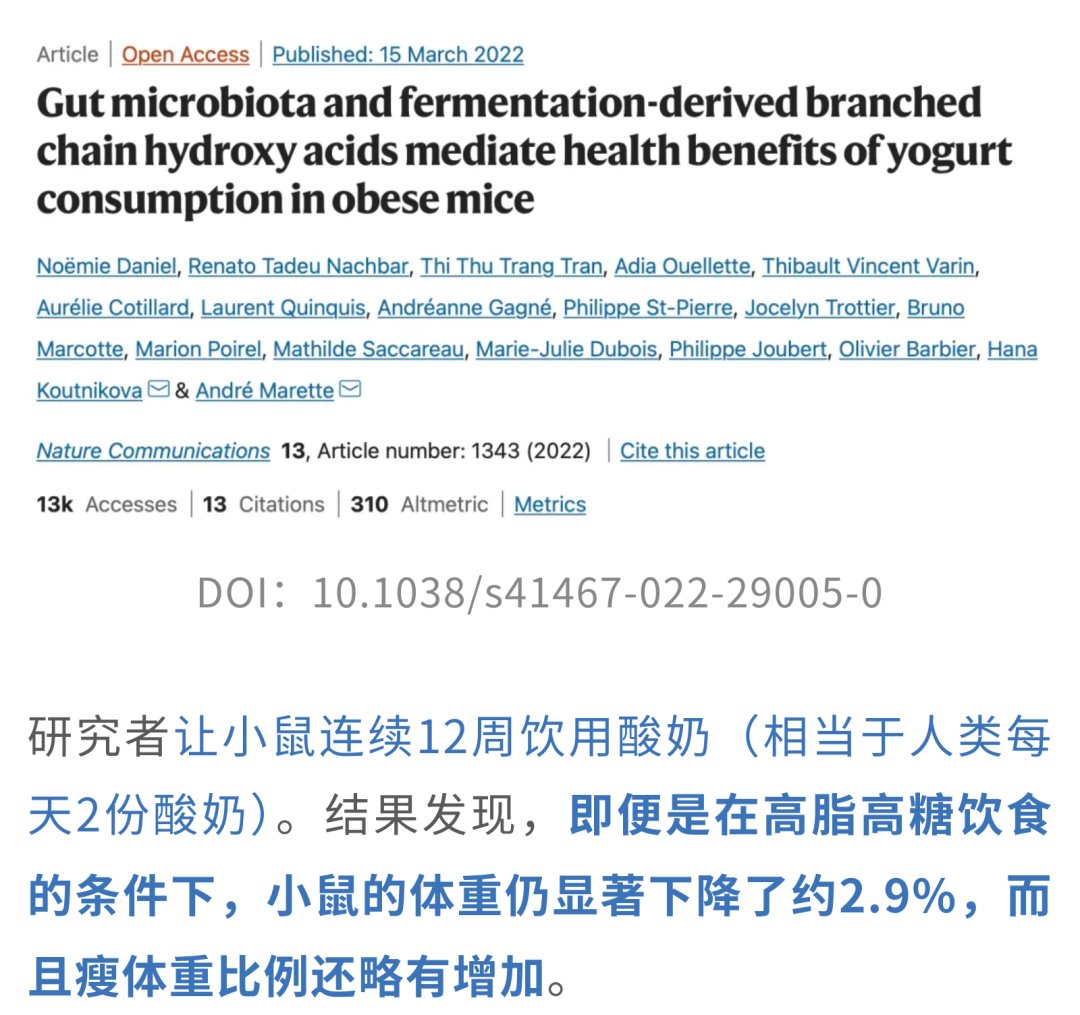 酸奶改善高脂饮食小鼠血糖稳态和脂肪肝的机制图