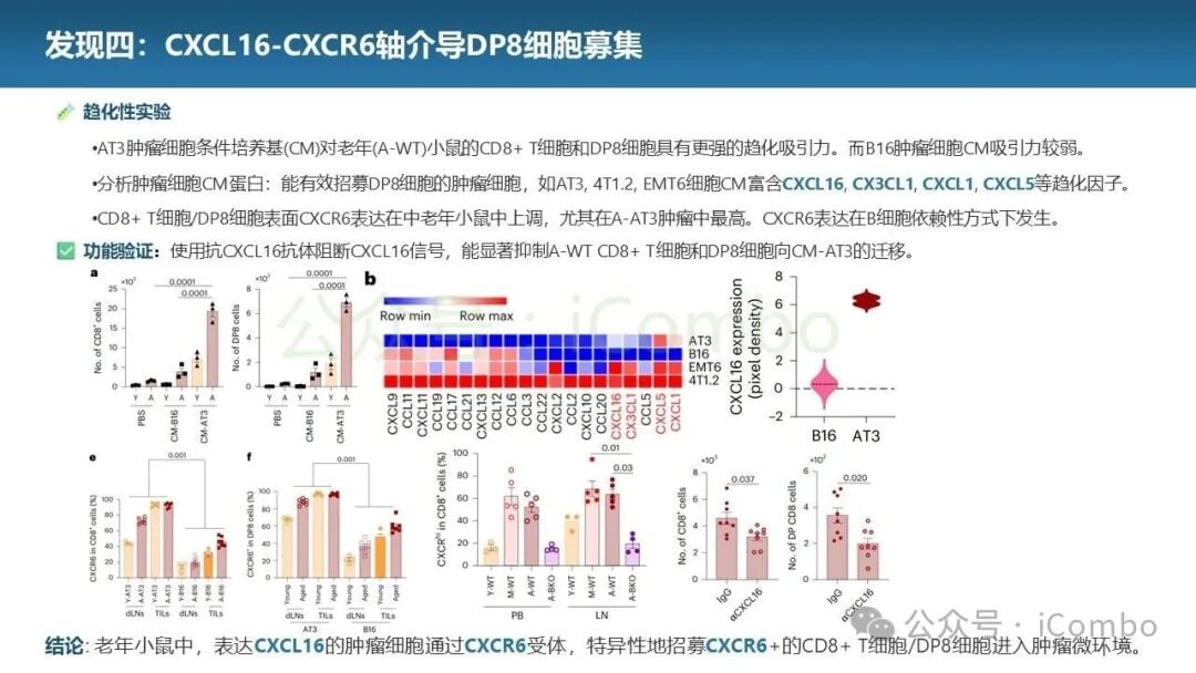DP8细胞对肿瘤微环境中其他免疫细胞的影响分析