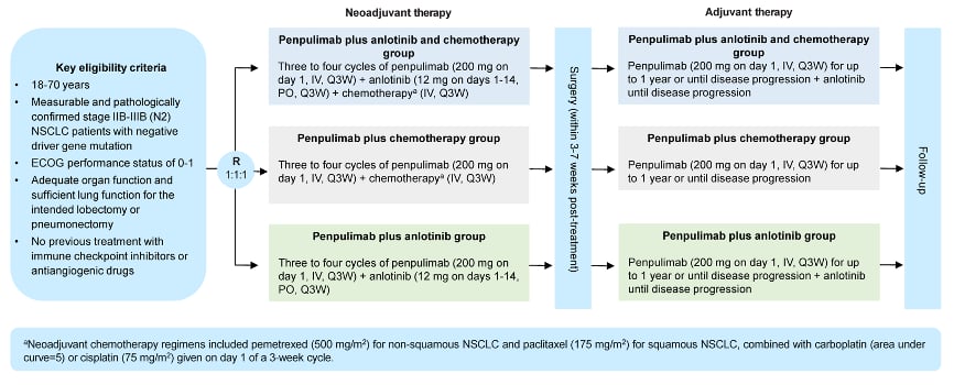 ALTER-L043研究三组疗效数据对比：MPR、pCR及手术率统计