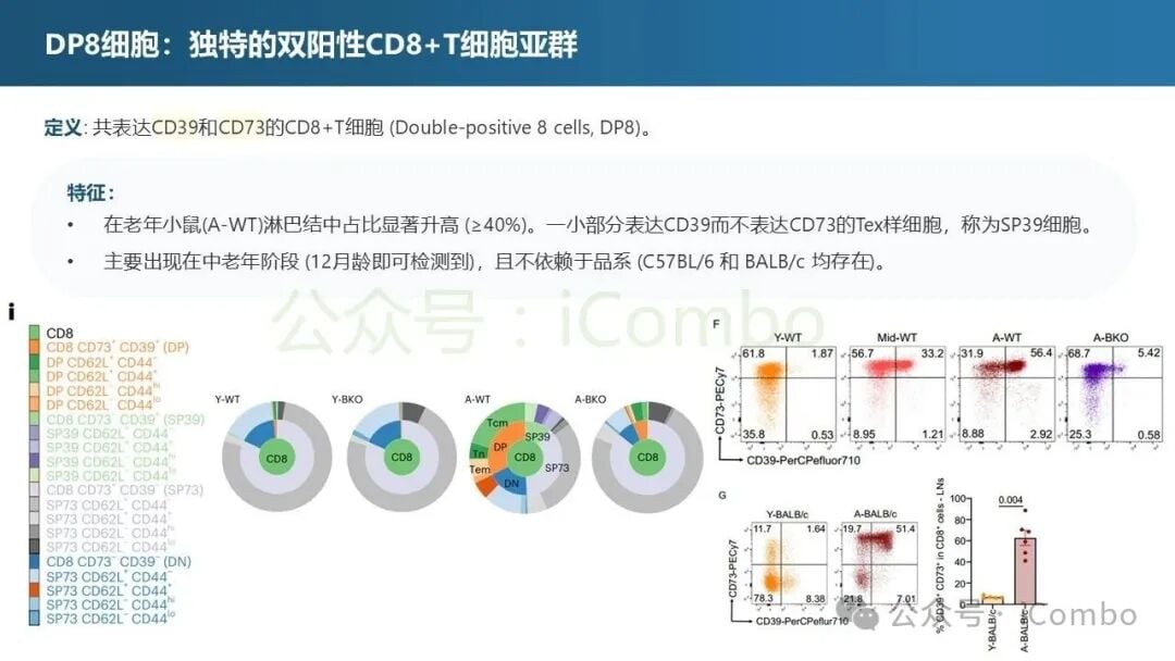 CD39/CD73通路介导的ATP向腺苷转化的过程图解