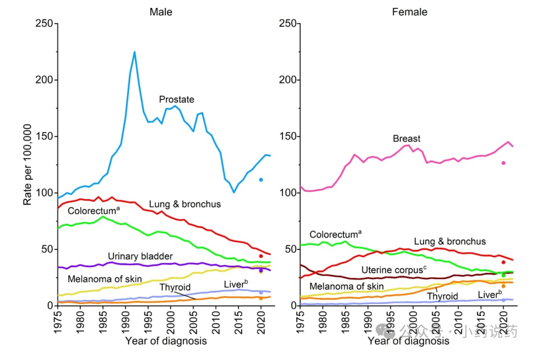2026年美国常见癌症发病率趋势分析：前列腺癌、乳腺癌与结直肠癌数据对比