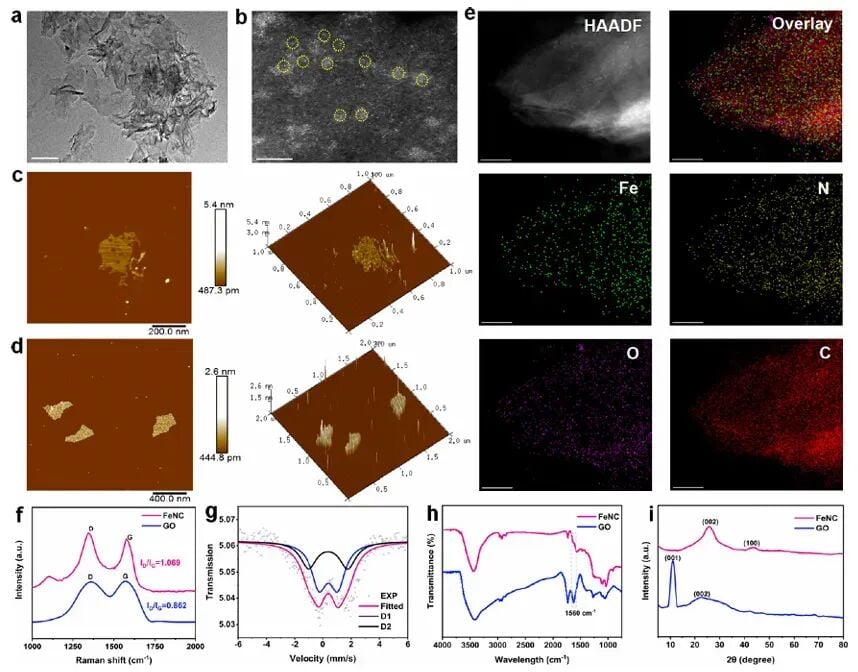 FeNC SAzymes单原子纳米酶形貌与元素分布图