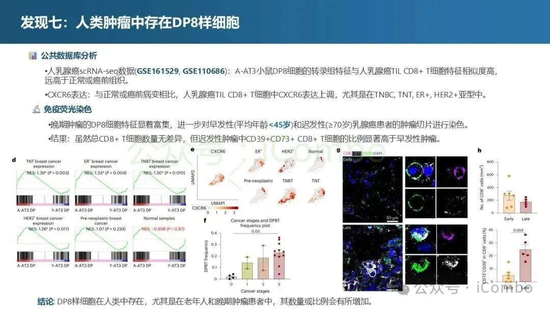 表观遗传学分析揭示DP8细胞的独特性质