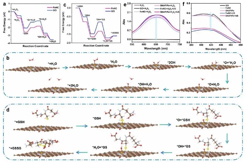 纳米酶模拟过氧化物酶活性消耗谷胱甘肽实验