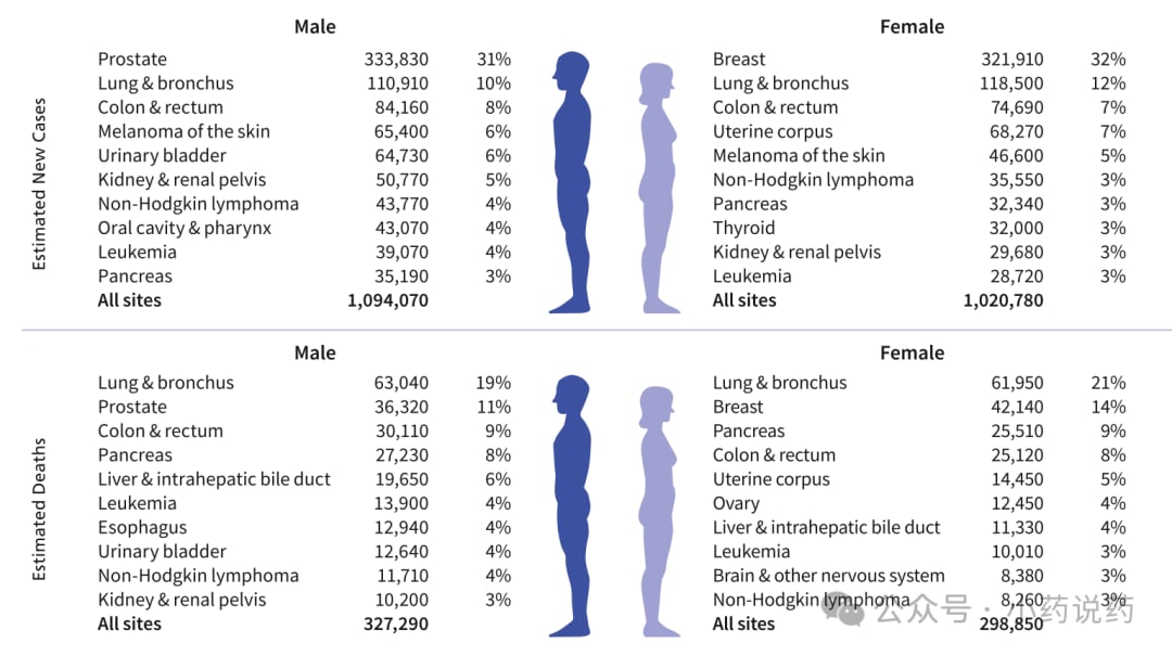 2026年美国男性与女性新发癌症病例预测及核心癌种分布图