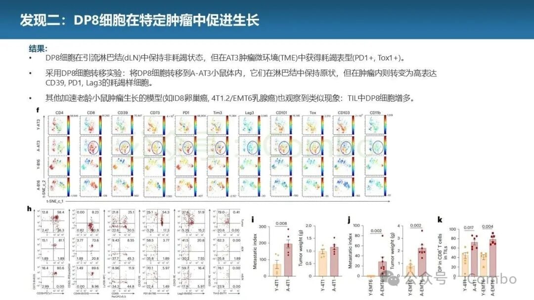 不同年龄段人群中DP8样细胞的比例测定