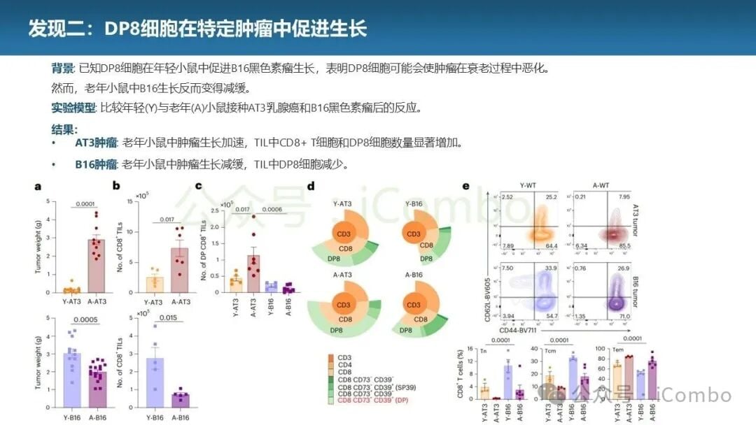CD39抑制剂POM1在老年小鼠模型中的抗肿瘤疗效对比