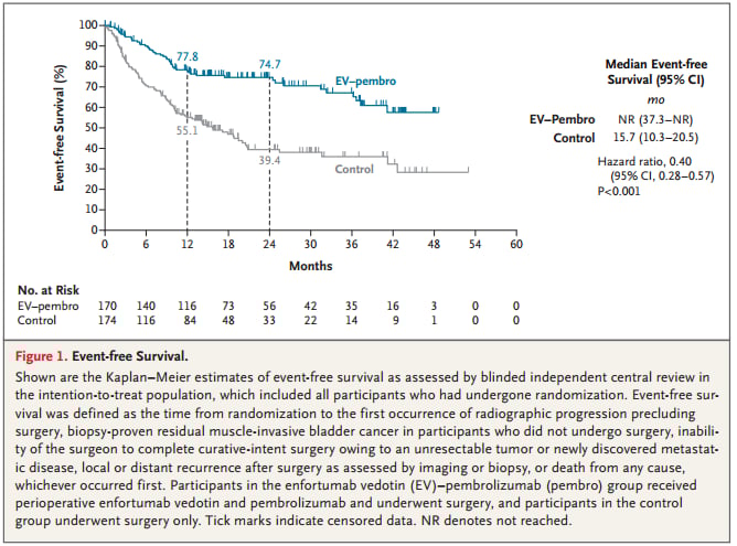 KEYNOTE-905研究数据：维恩妥尤单抗联合帕博利珠单抗显著提升MIBC患者的EFS生存曲线