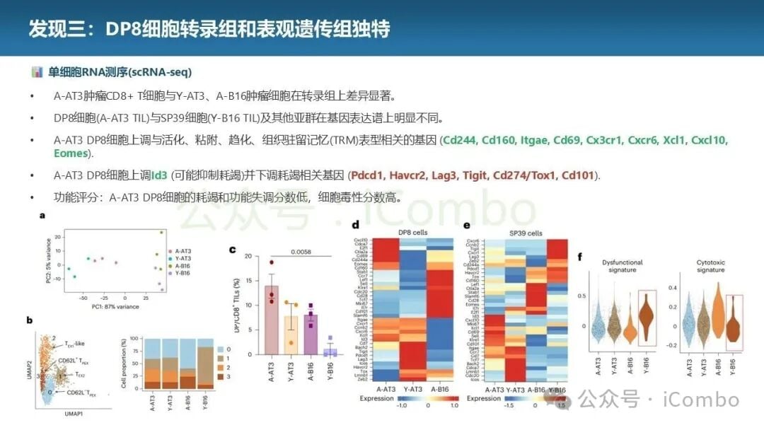 人类老年患者组织中DP8样细胞与肿瘤分期的相关性