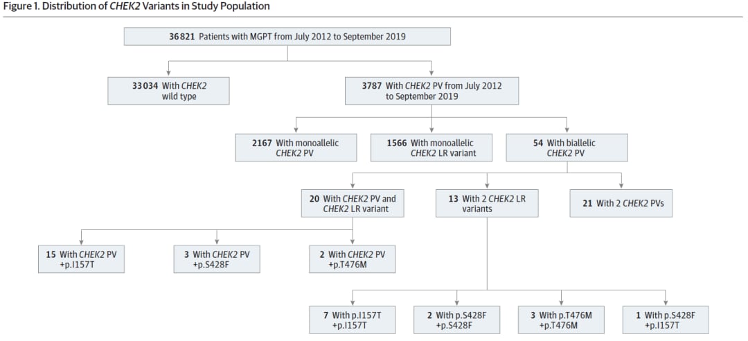 CHEK2基因研究队列筛选及分类流程图，展示了从3.6万名检测者中提取变异携带者的过程