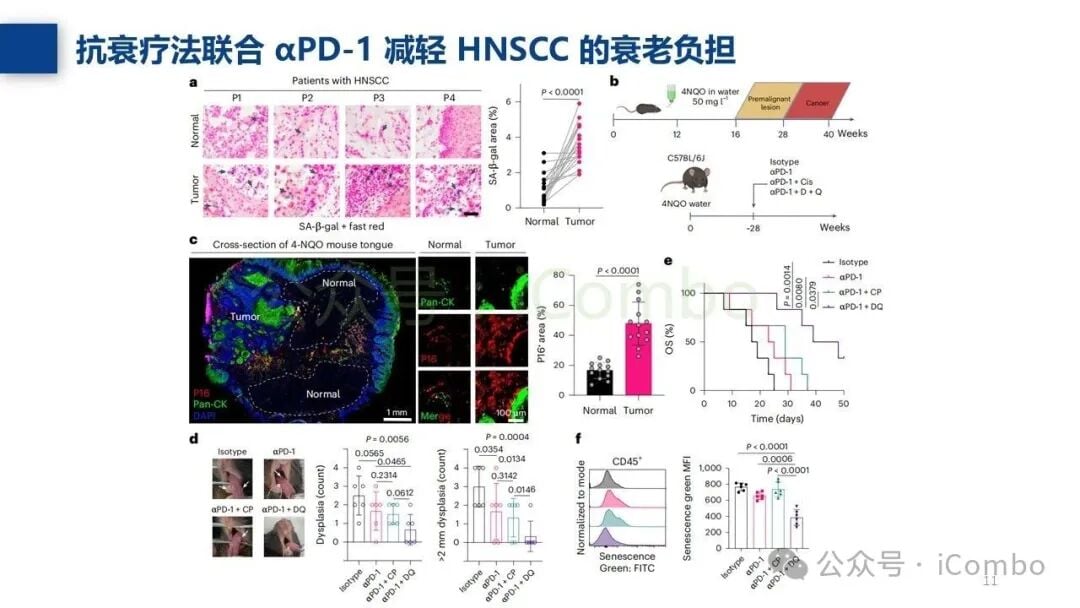幼稚T细胞与记忆B细胞在治疗成功患者中的占比统计
