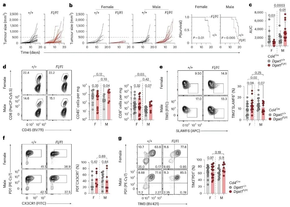 DGAT1在肿瘤浸润T细胞中呈现性别二态性功能图