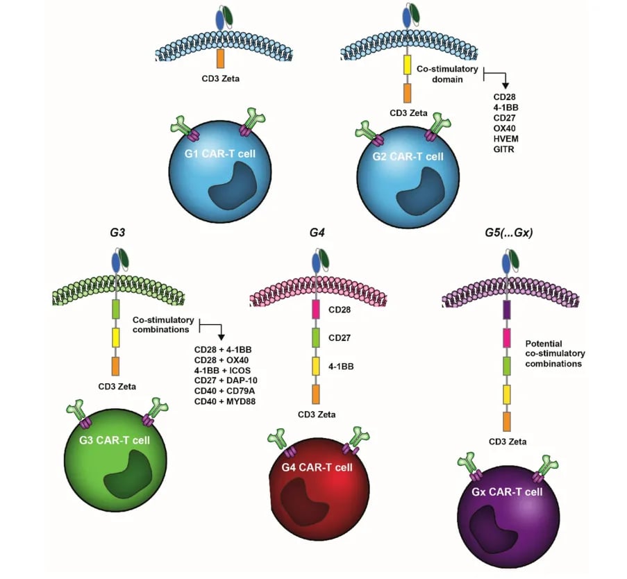 CAR-T细胞代际演进与共刺激结构域设计示意图