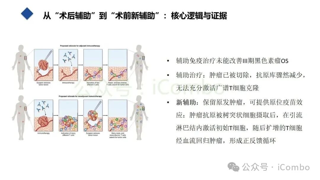 NADINA研究黑色素瘤新辅助双免疫治疗无事件生存数据图