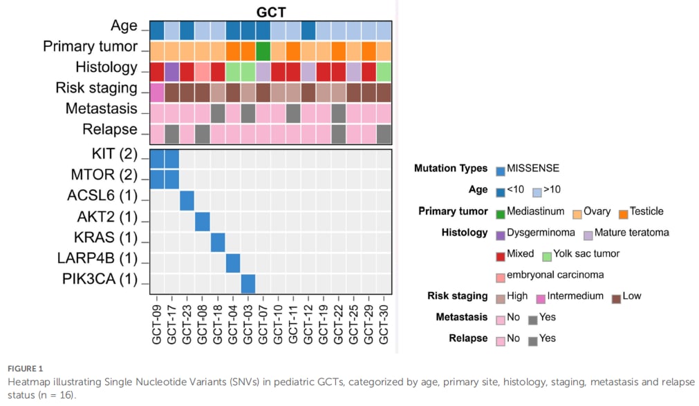 儿童生殖细胞肿瘤驱动基因突变分布图